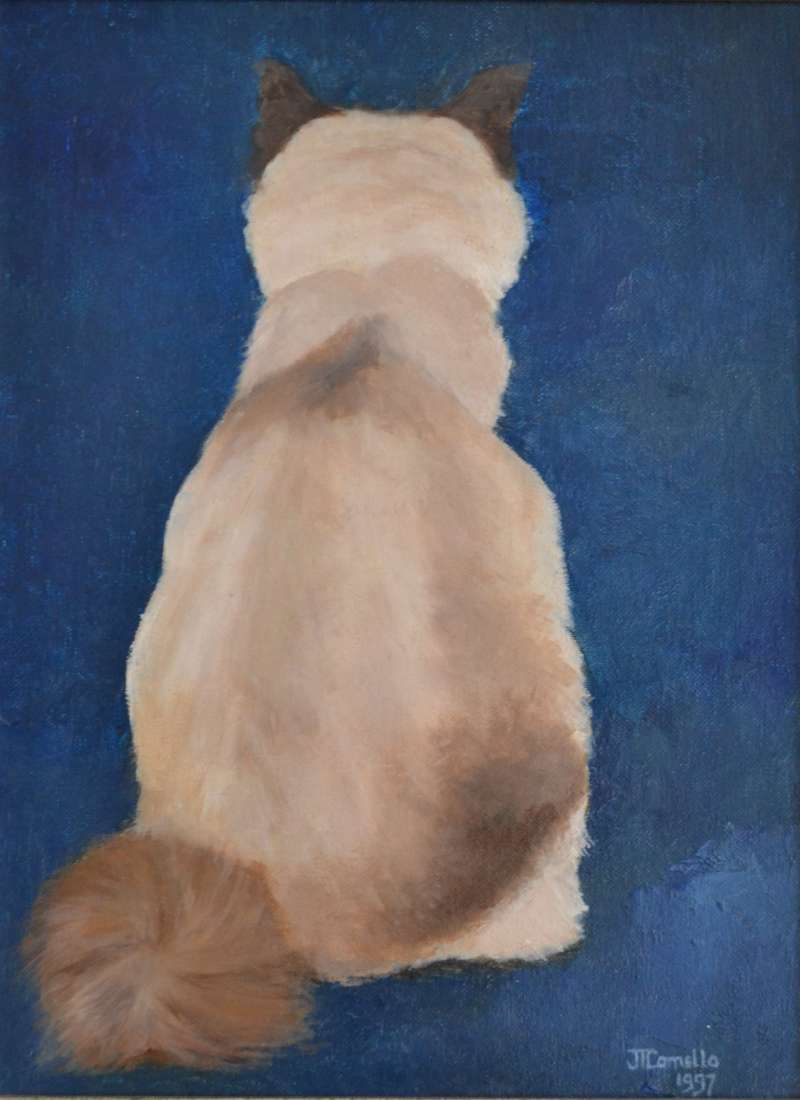 1997, Cyrus, achterkant, 40x50, olieverf, kattenportret, J. Comello
