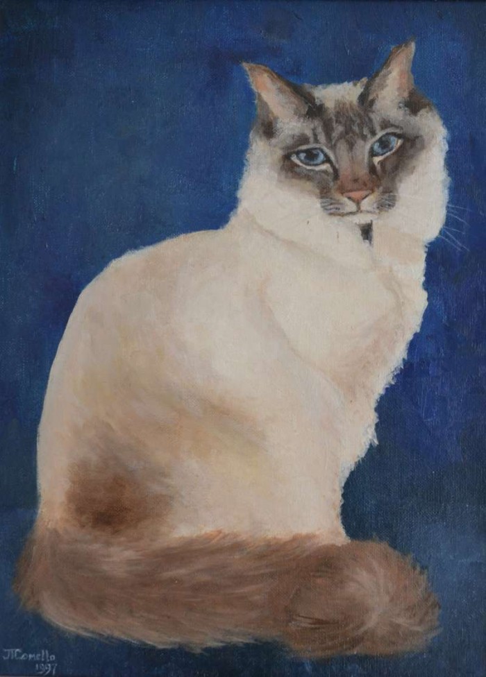 1997, Cyrus, voorkant, 40x50, olieverf, kattenportret, J. Comello
