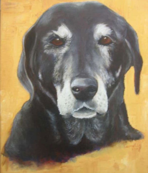 2008, Doedel, 40x50, olieverf, hondenportret J. Comello